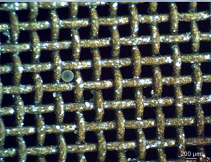 [A008BAW12.5] CSC 8" Brass ASTM 12.5mm or 1/2"